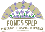 Fonds de dotation pour la sauvegarde du patrimoine lavandes en Provence Logo
